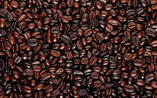 brown coffee beans HD wallpaper